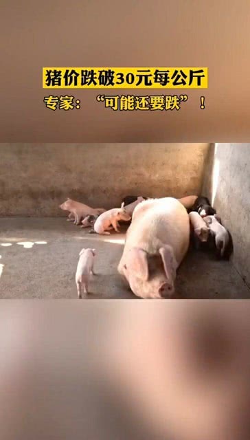 第511页